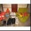 Kielboot  Edel 600 Bild 6 
